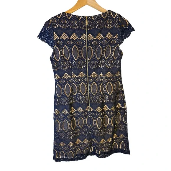 Eliza J Womens Navy Blue Lace Cap Sleeve Sheath Cocktail Dress Size 6P Petite - Picture 3 of 5